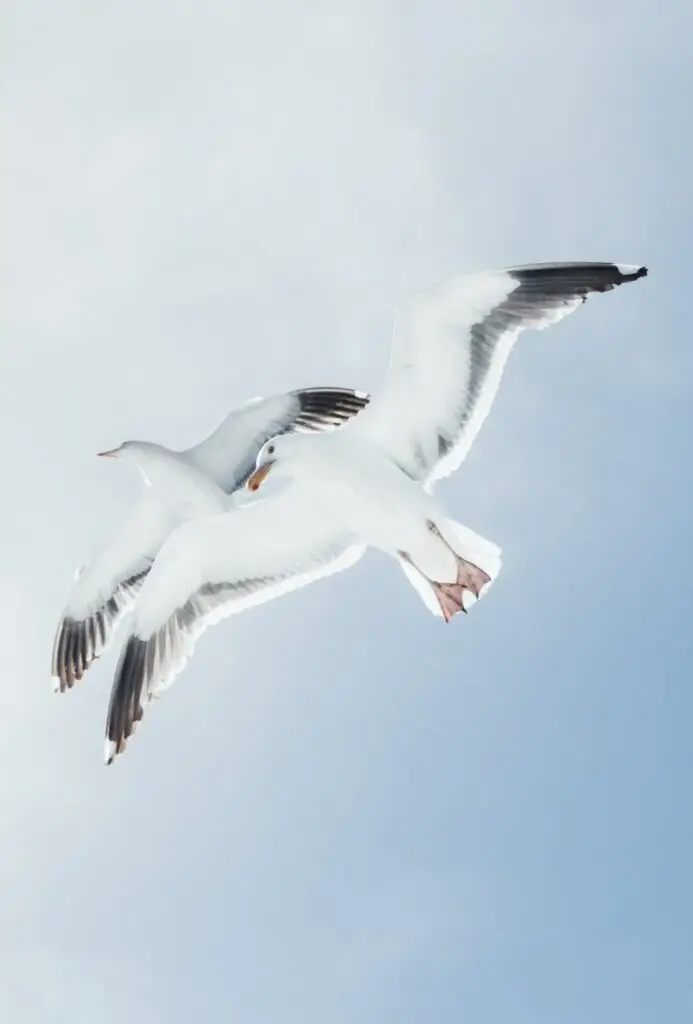 Gallery-Air-Together-Img_1.jpg